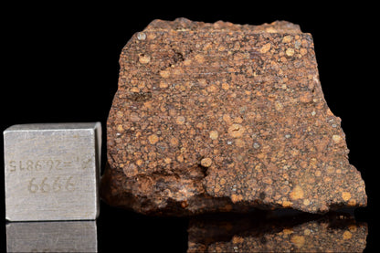 NWA 14870 CR2 Meteorite For Sale