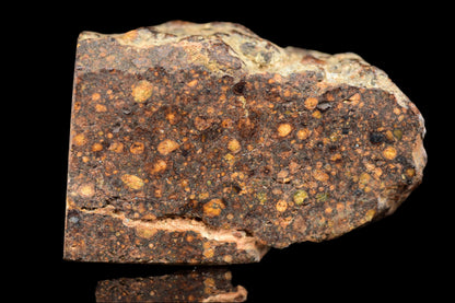 NWA 14870 CR2 Meteorite For Sale