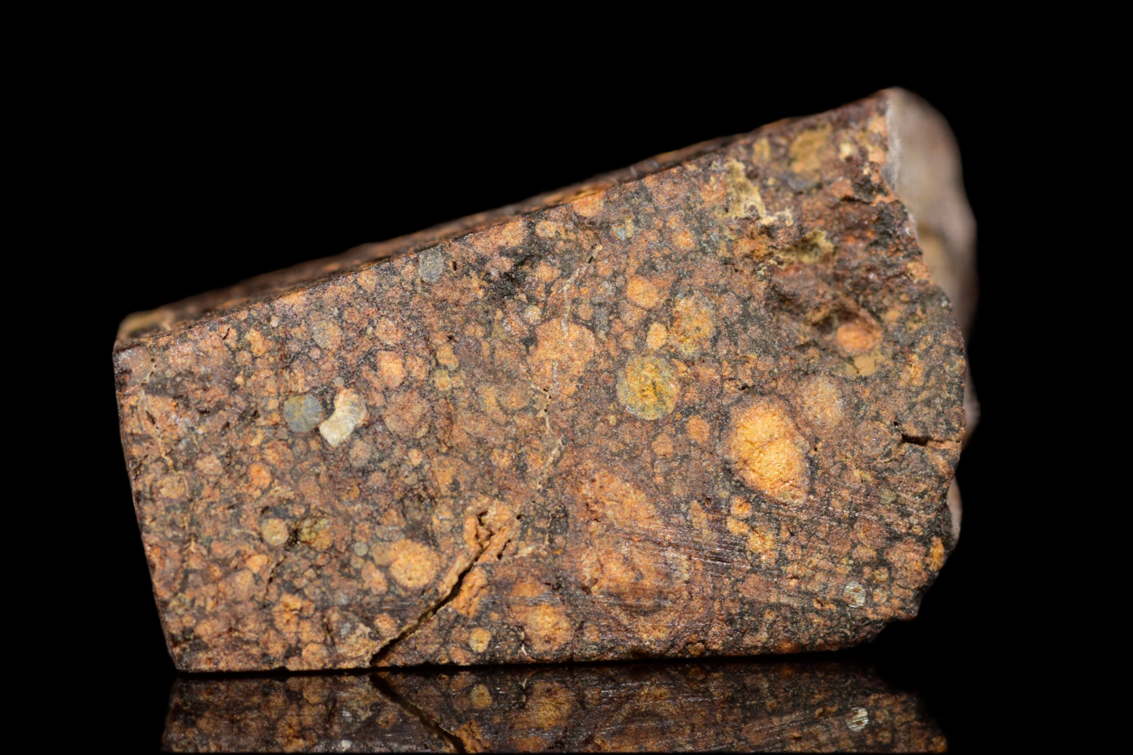 NWA 14870 CR2 Meteorite For Sale