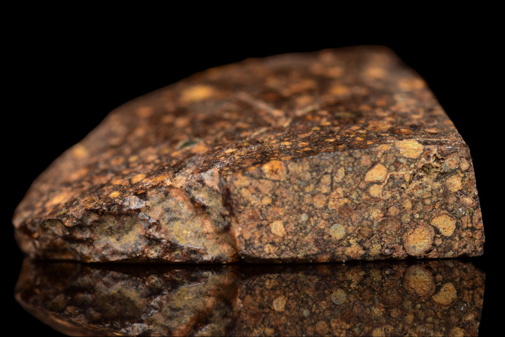 NWA 14870 CR2 Meteorite For Sale