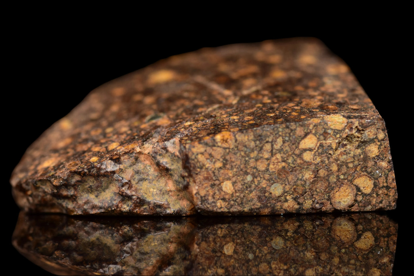 NWA 14870 CR2 Meteorite For Sale
