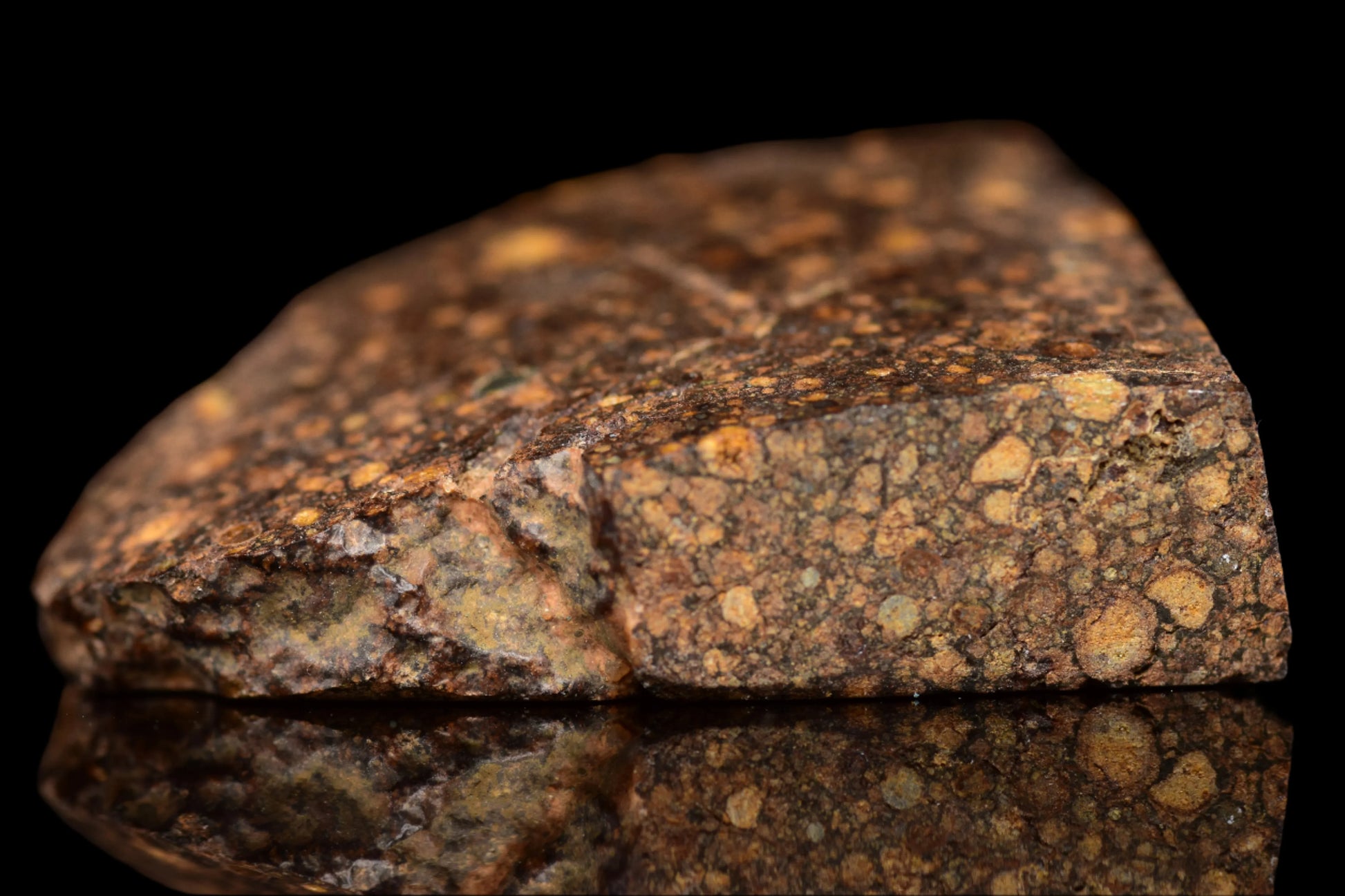 NWA 14870 CR2 Meteorite For Sale