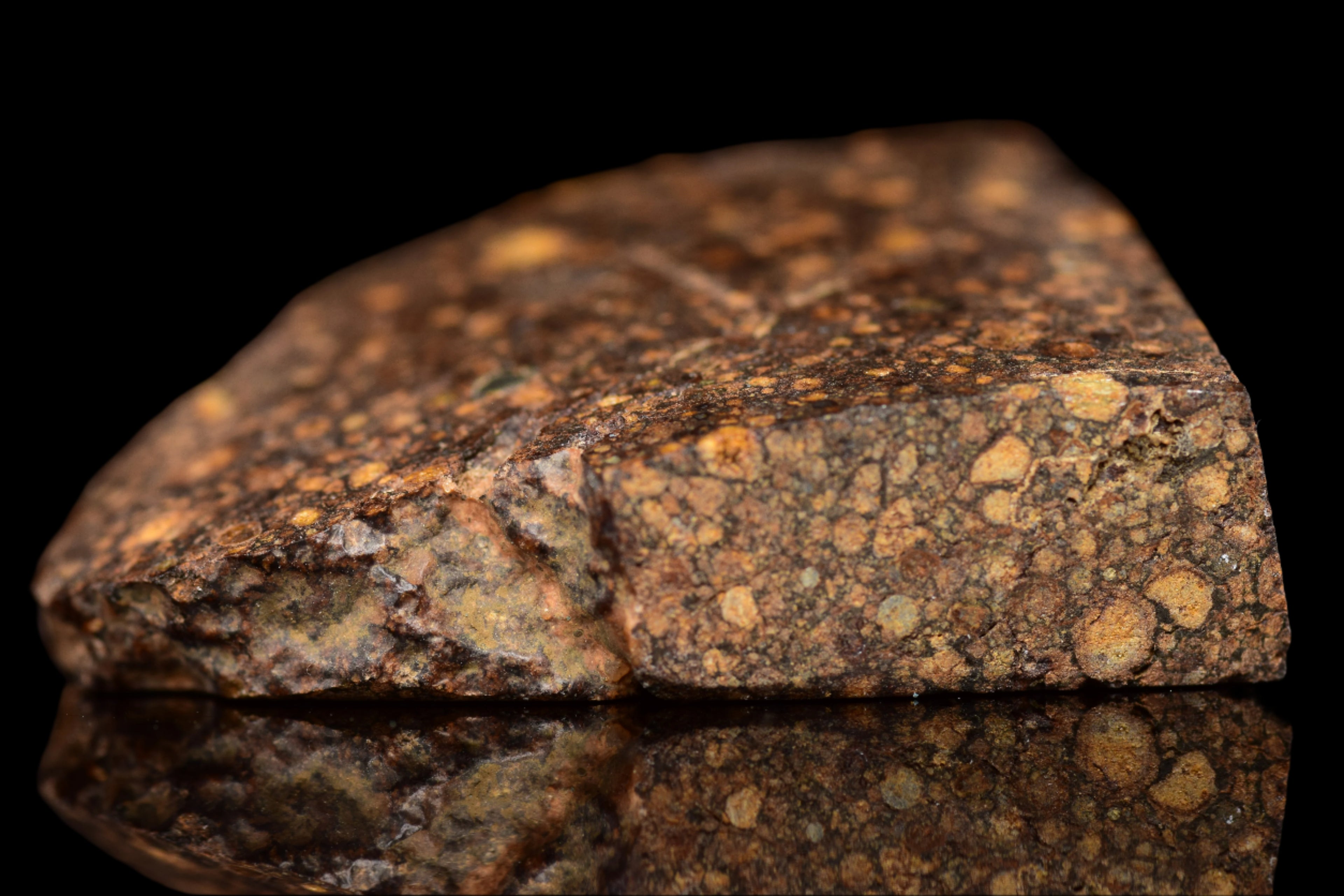 NWA 14870 CR2 Meteorite For Sale