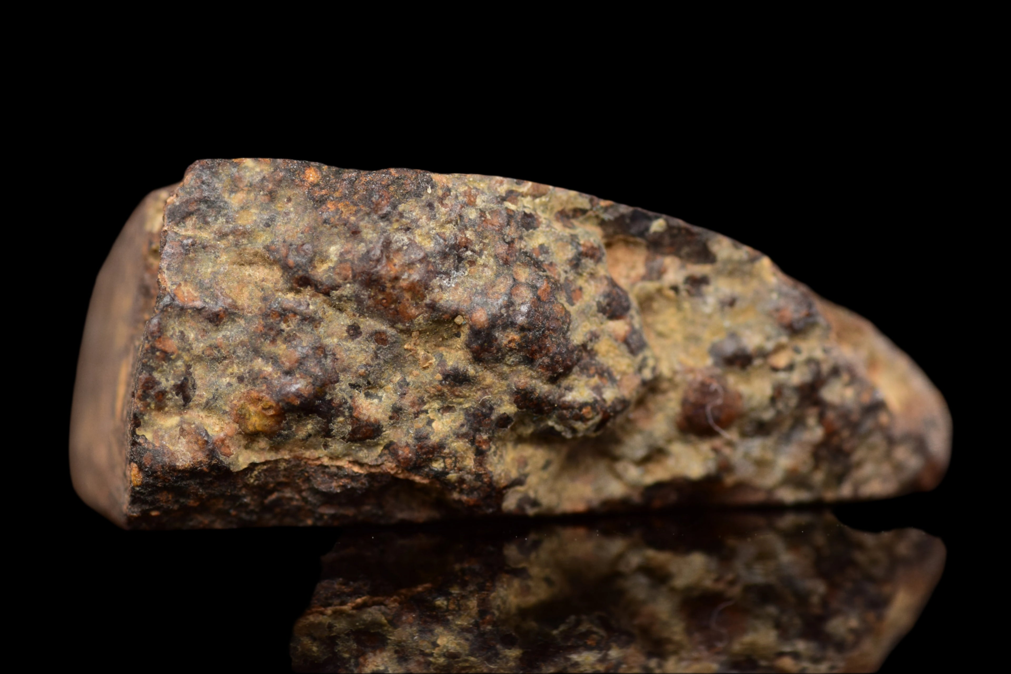 NWA 14870 CR2 Meteorite For Sale