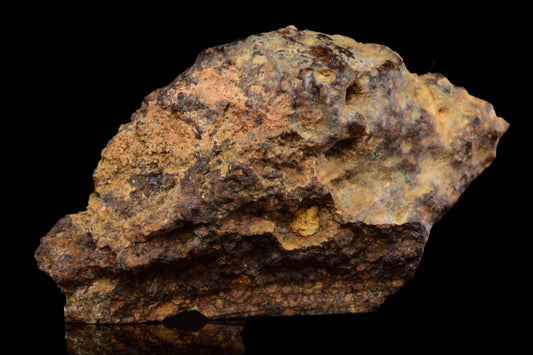 NWA 14870 CR2 Meteorite For Sale