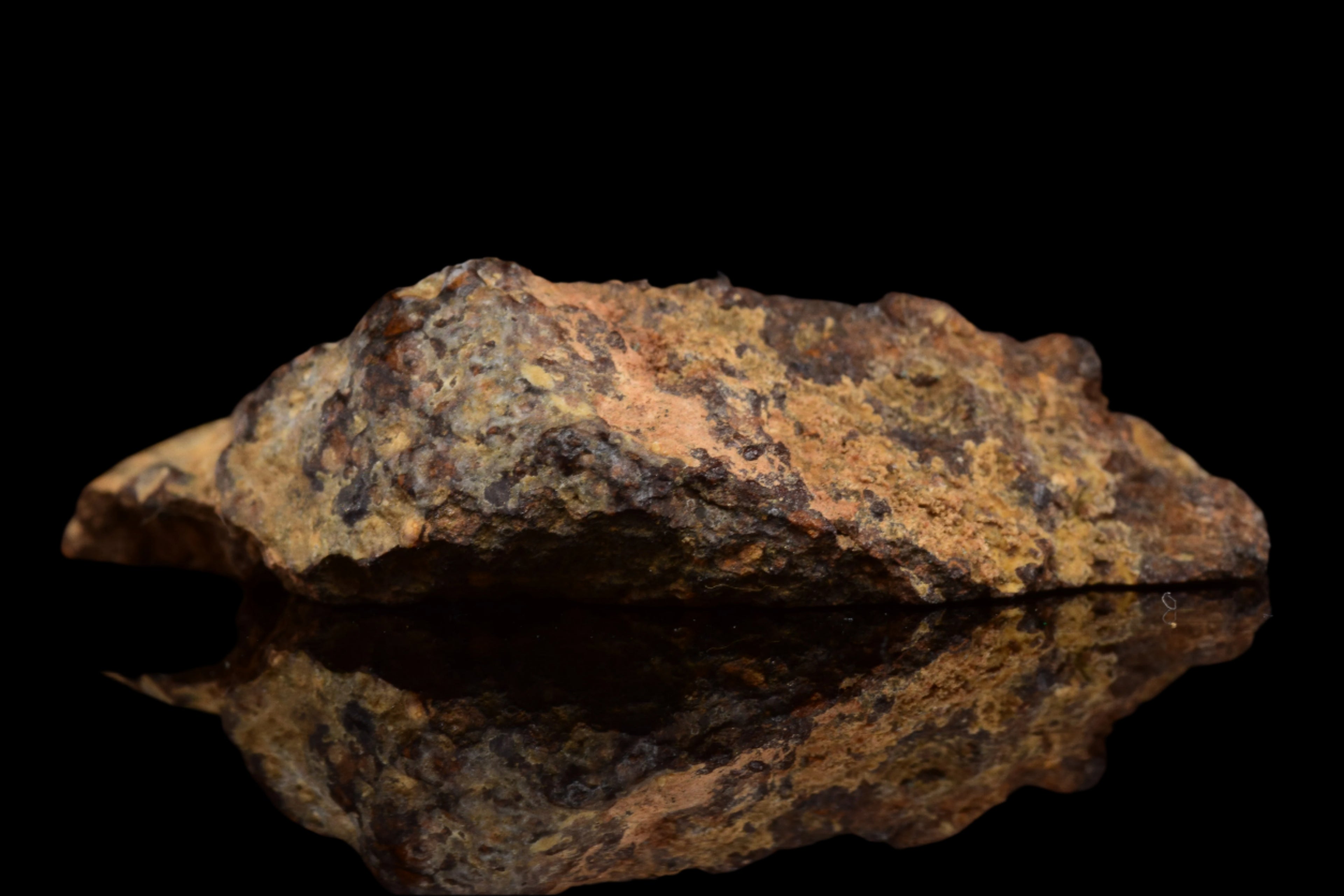 NWA 14870 CR2 Meteorite For Sale