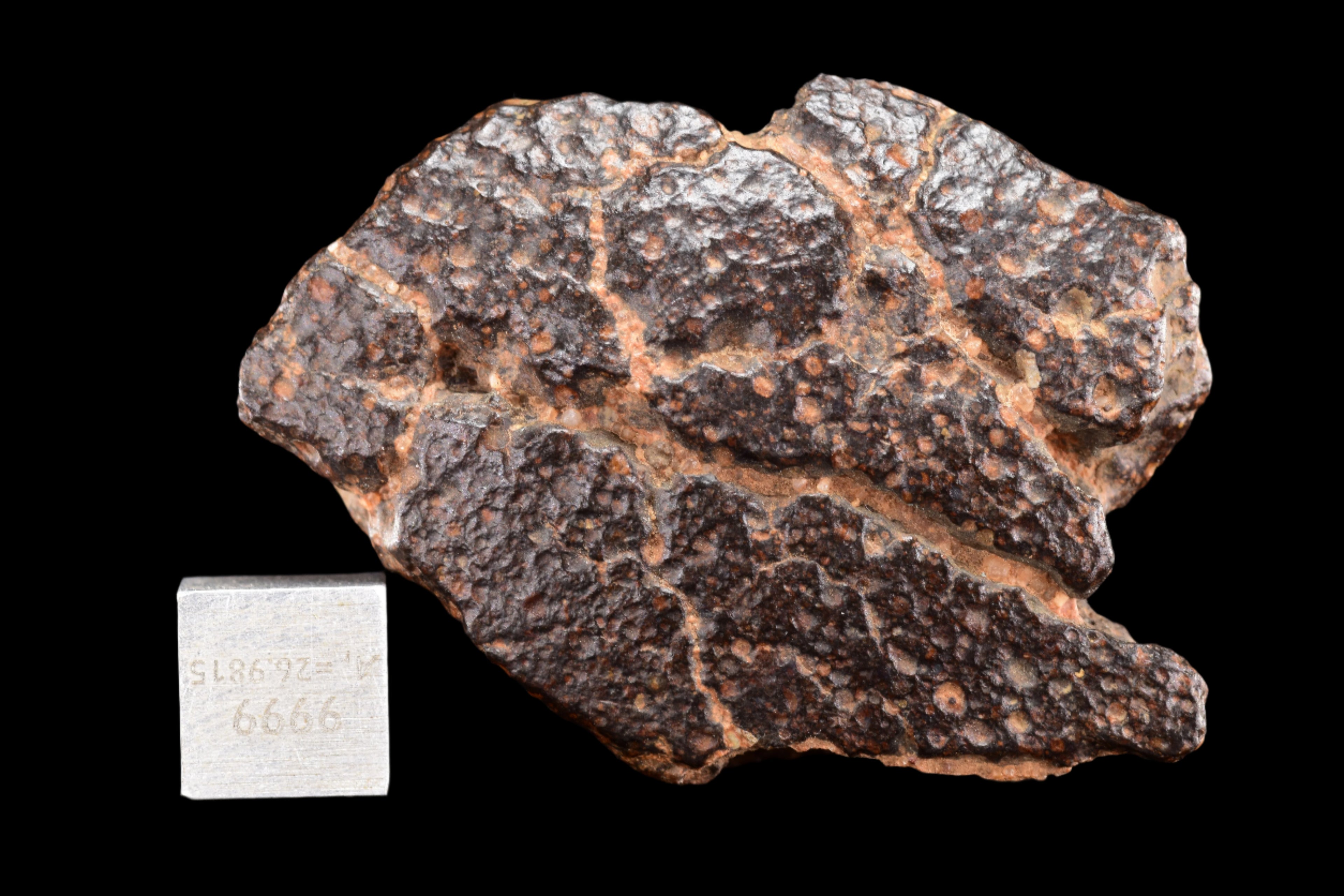 NWA 14870 CR2 Meteorite For Sale