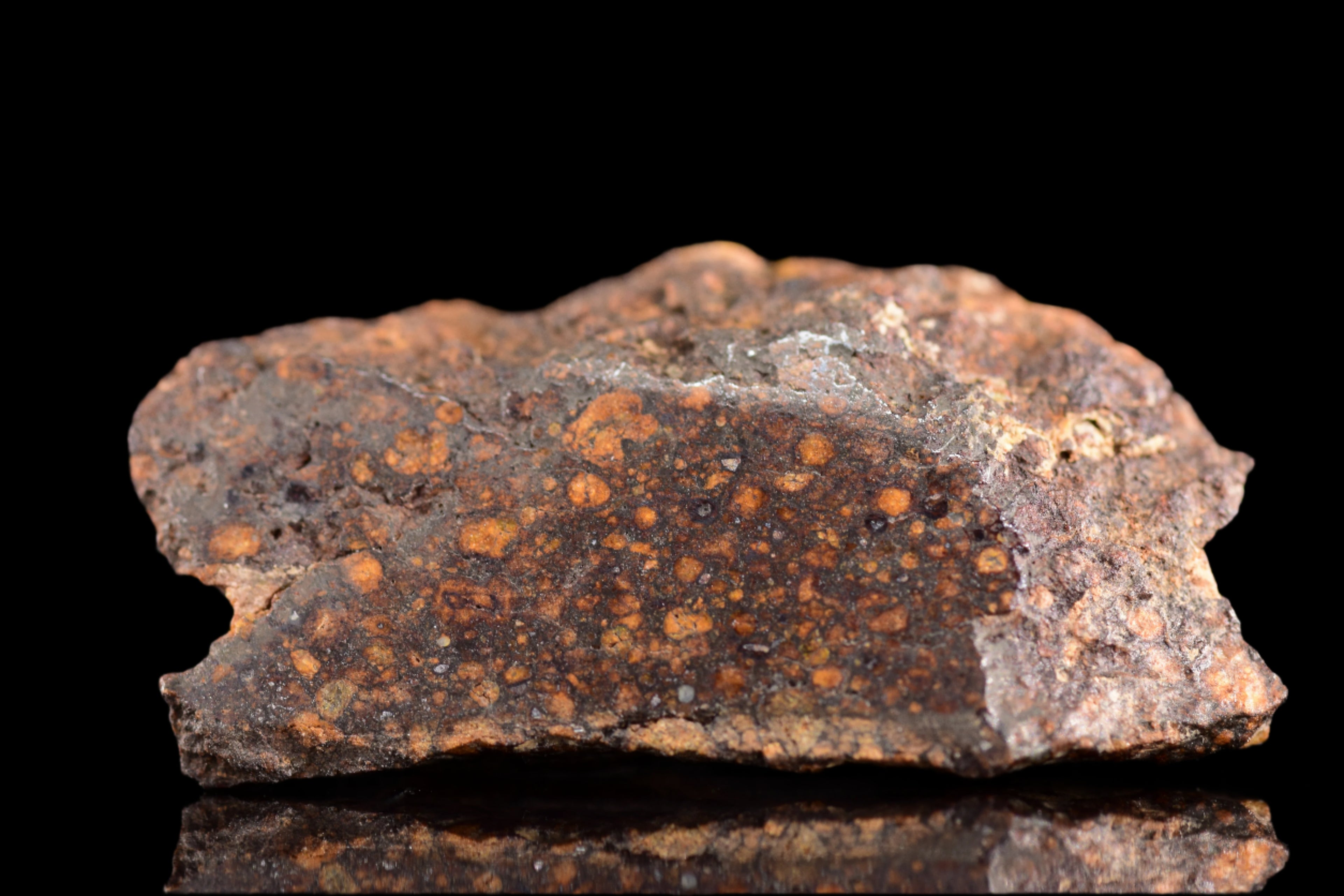 NWA 14870 CR2 Meteorite For Sale