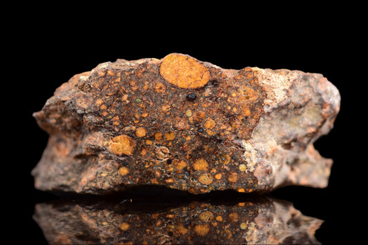 NWA 14870 CR2 Meteorite For Sale