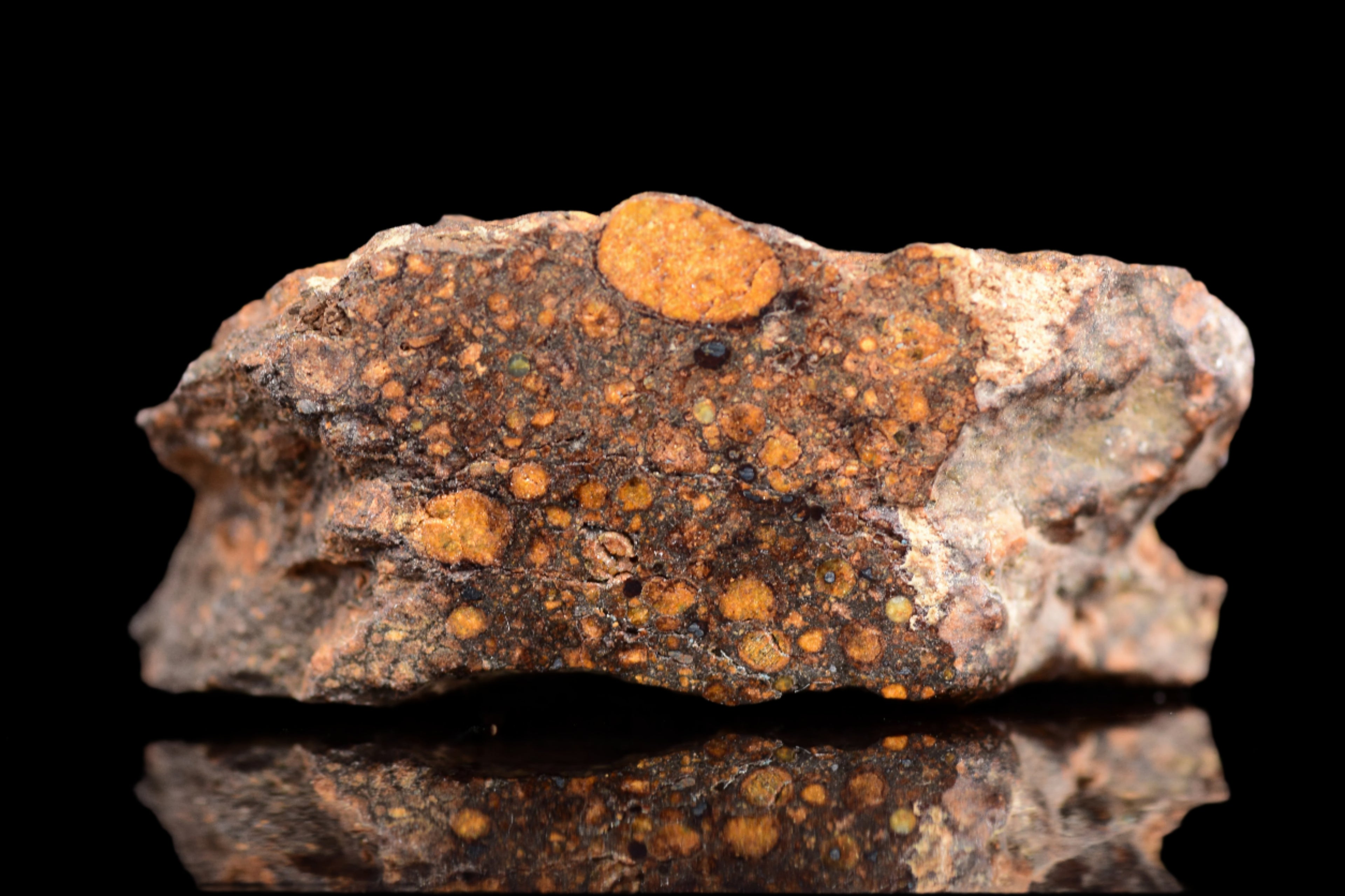 NWA 14870 CR2 Meteorite For Sale