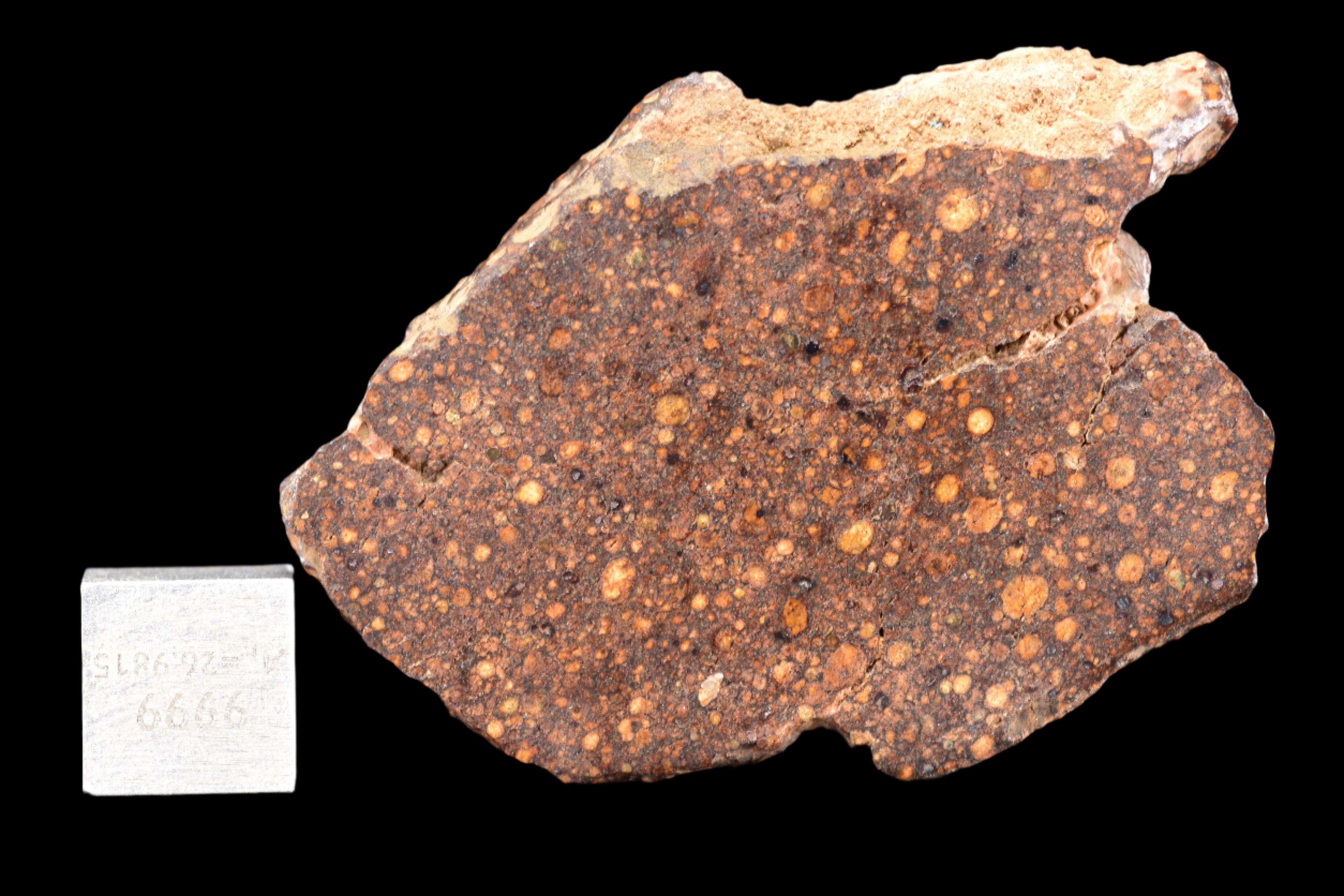 NWA 14870 CR2 METEORITE 