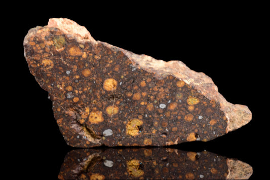 NWA 14870 CR2 Meteorite For Sale