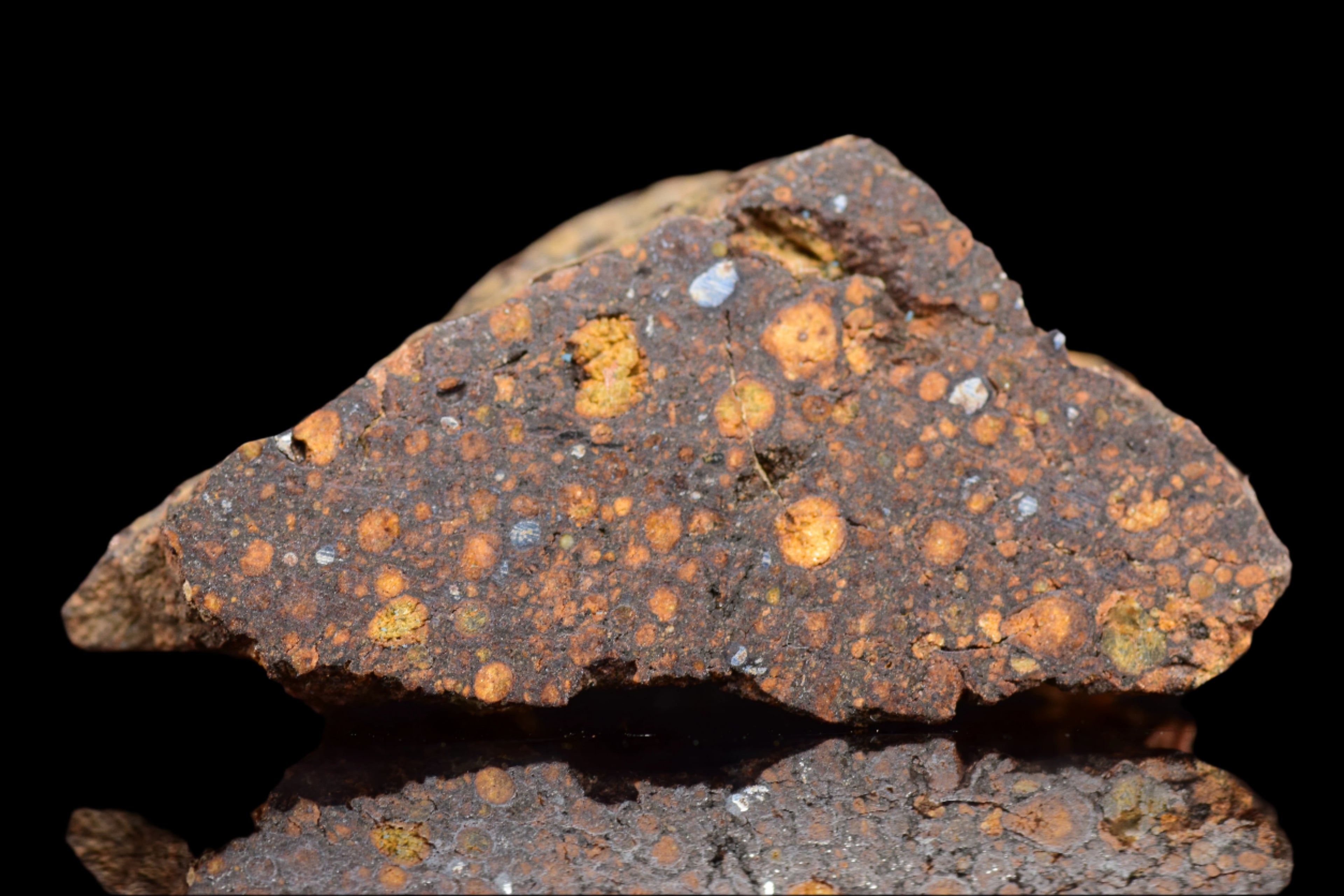 NWA 14870 CR2 Meteorite For Sale