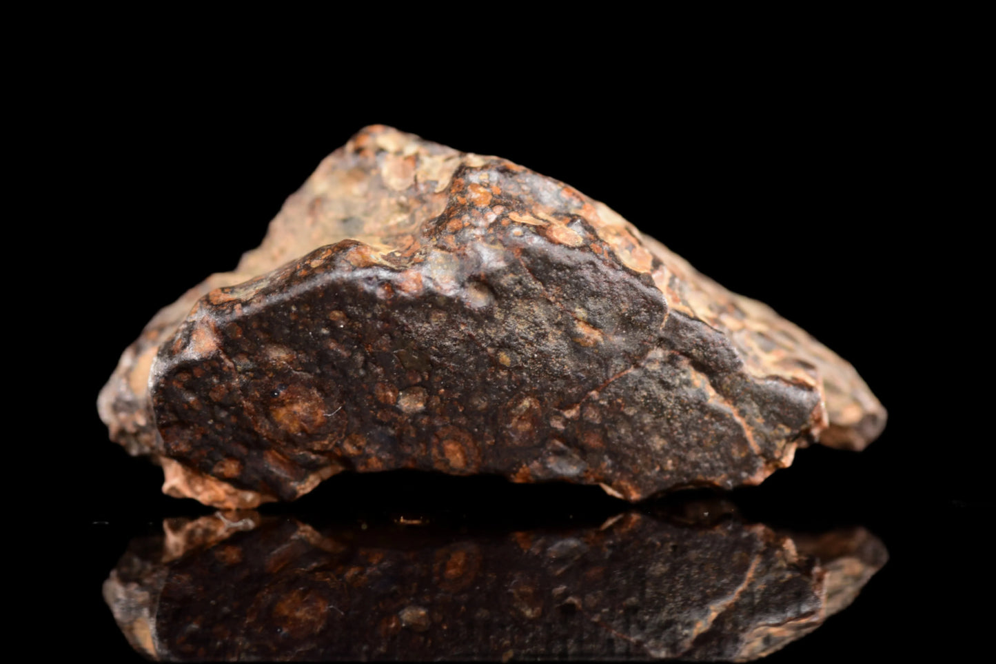 NWA 14870 CR2 Meteorite For Sale