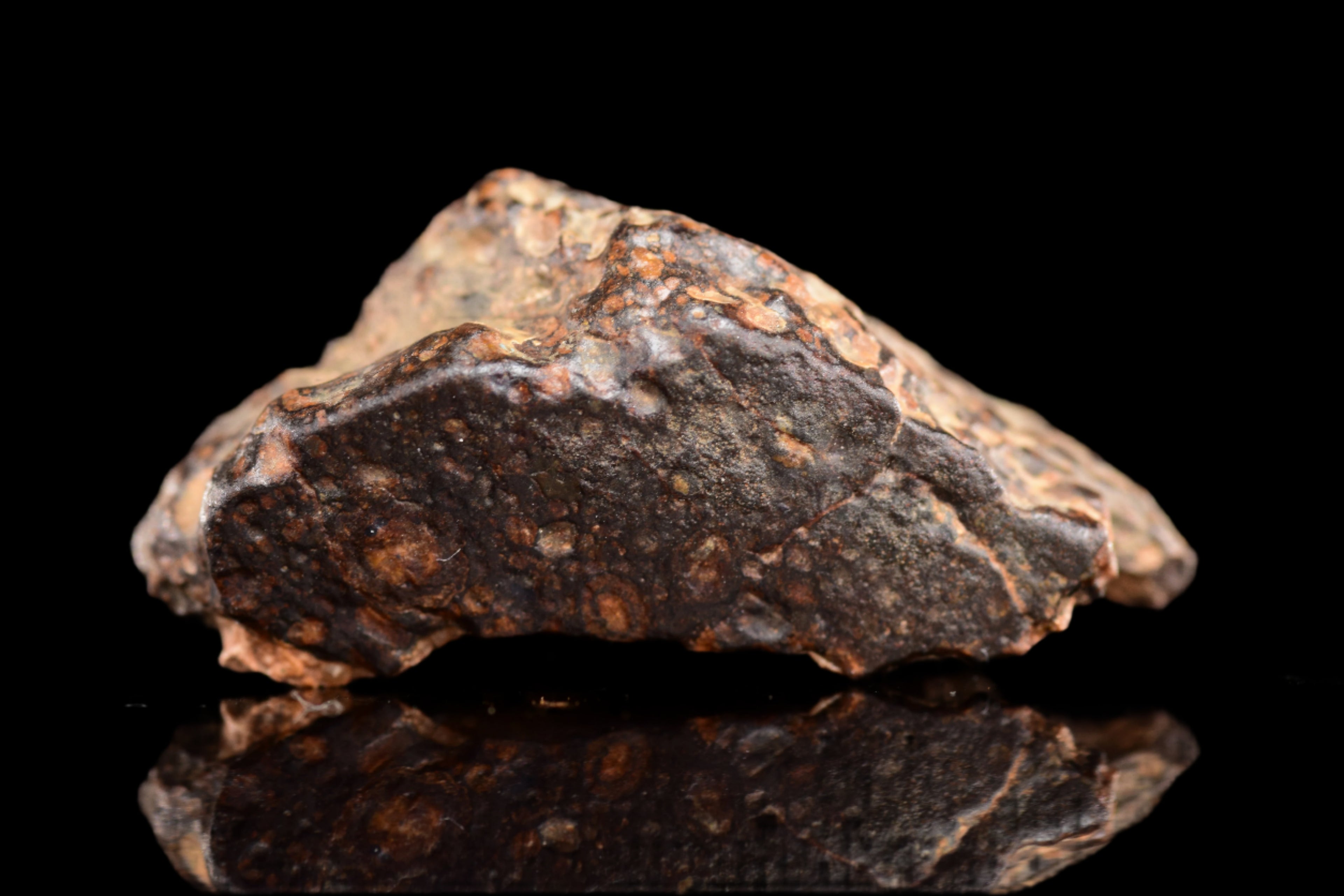 NWA 14870 CR2 Meteorite For Sale