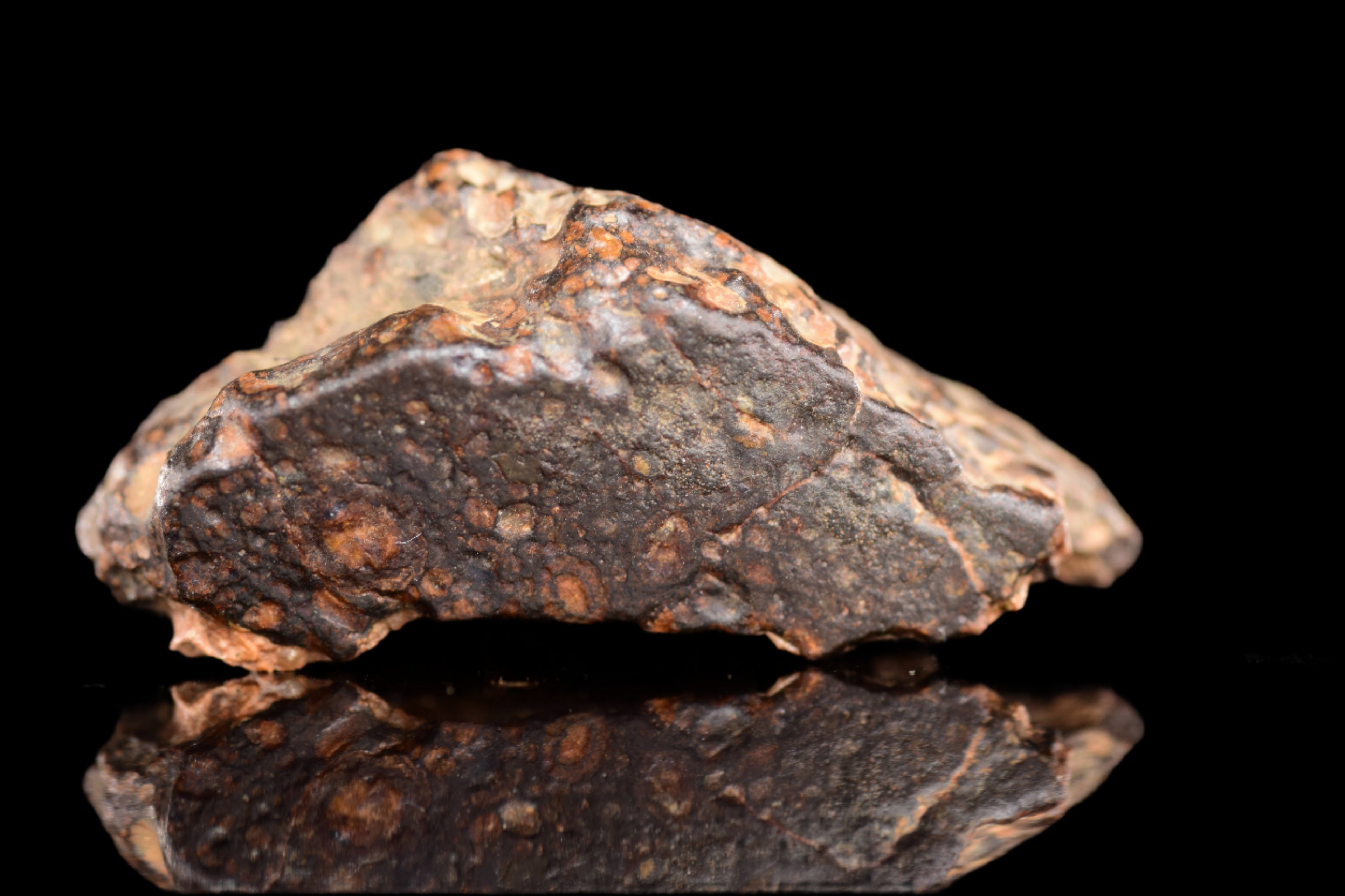 NWA 14870 CR2 Meteorite For Sale