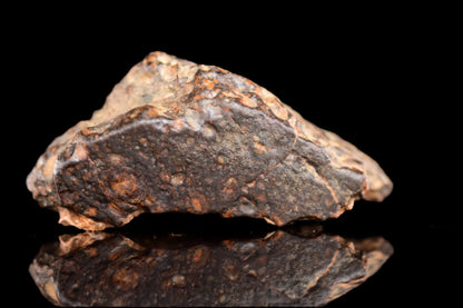 NWA 14870 CR2 Meteorite For Sale