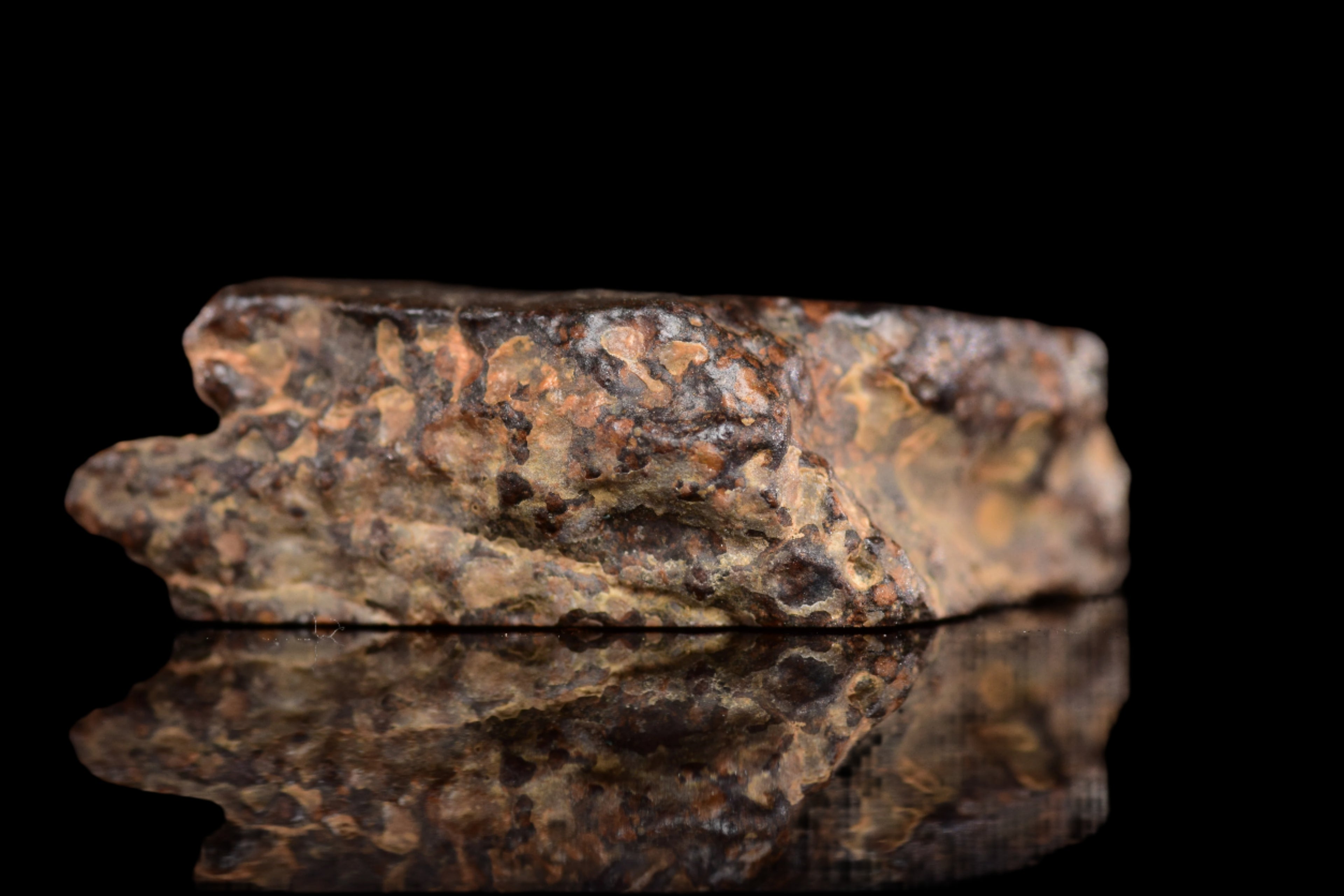 NWA 14870 CR2 Meteorite For Sale
