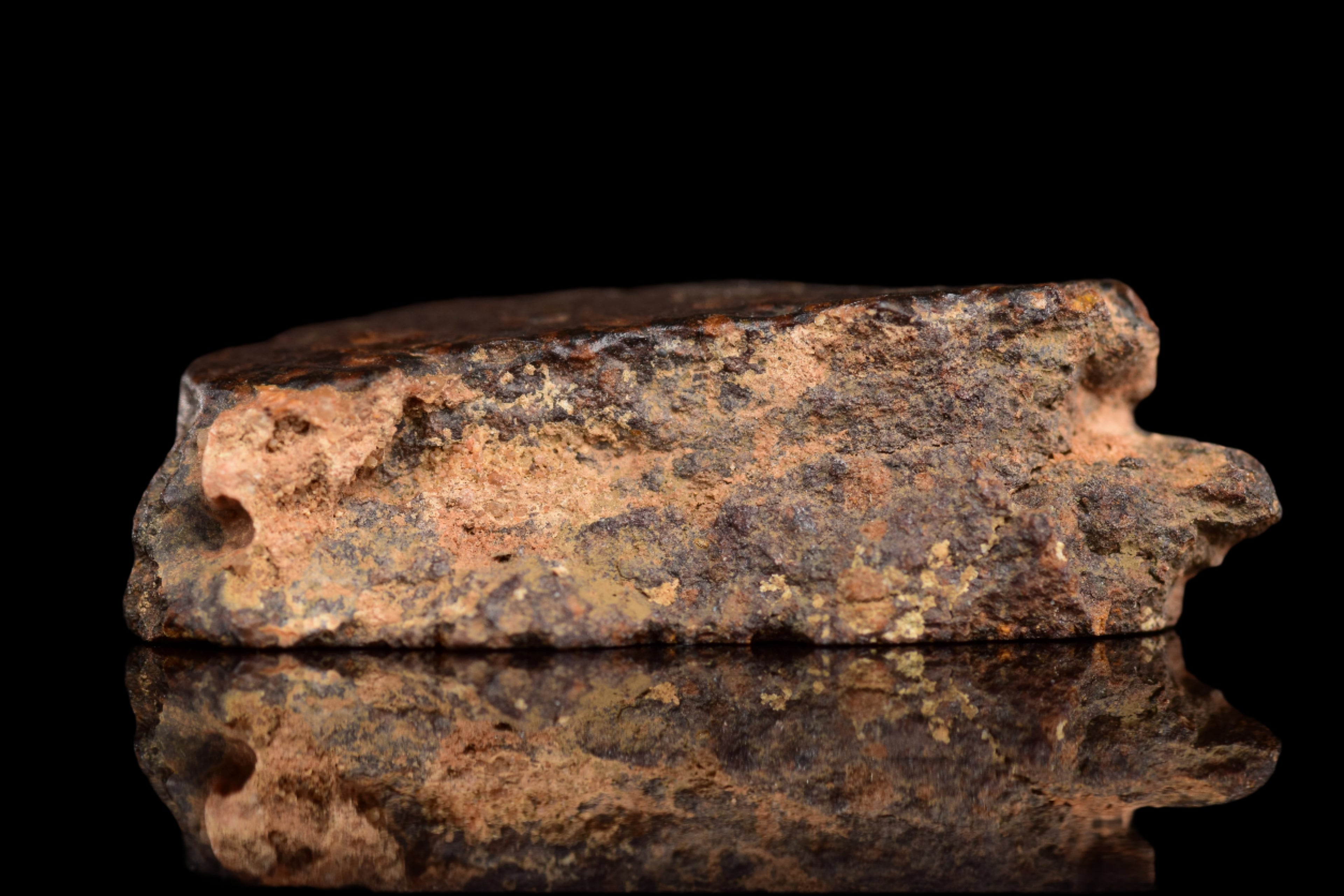 NWA 14870 CR2 Meteorite For Sale