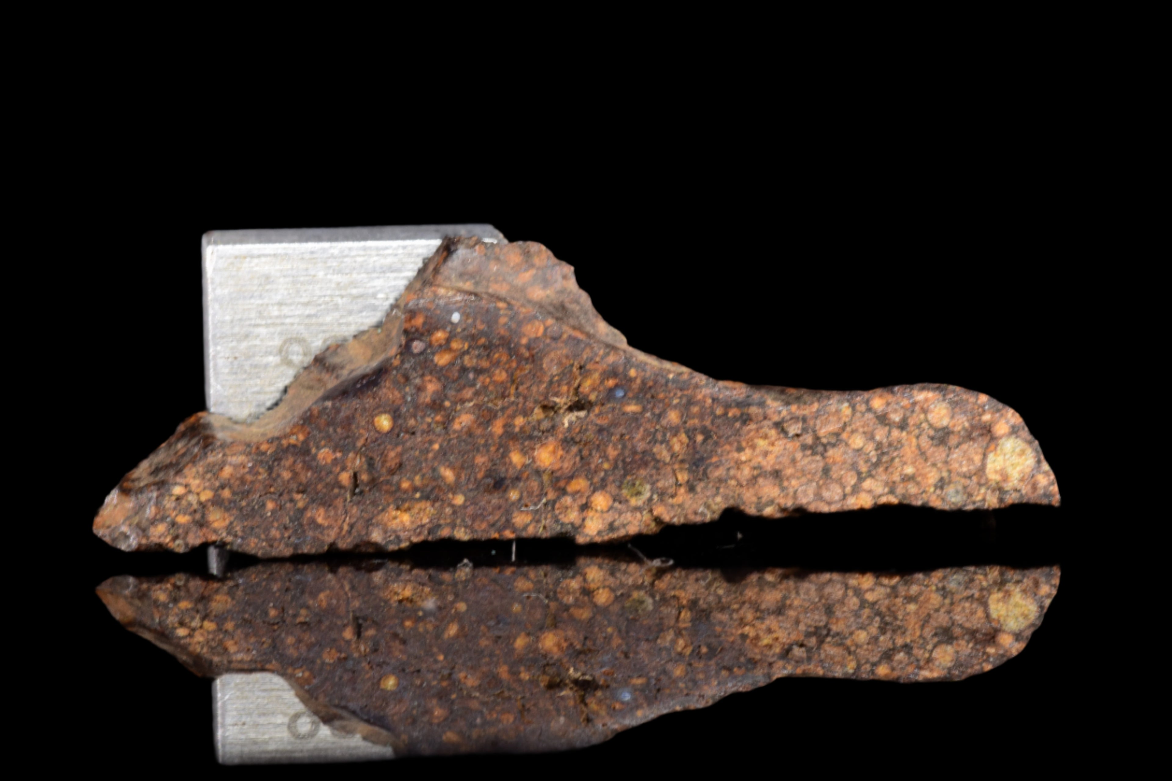 NWA 14870 CR2 Meteorite For Sale