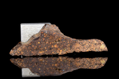 NWA 14870 CR2 Meteorite For Sale