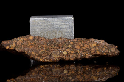 NWA 14870 CR2 Meteorite For Sale