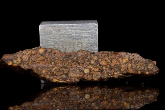 NWA 14870 CR2 Meteorite For Sale