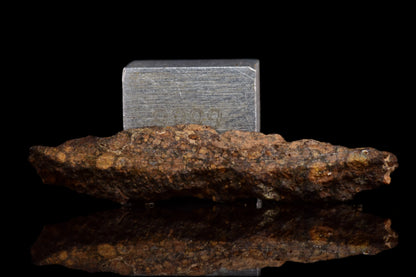 NWA 14870 CR2 Meteorite For Sale
