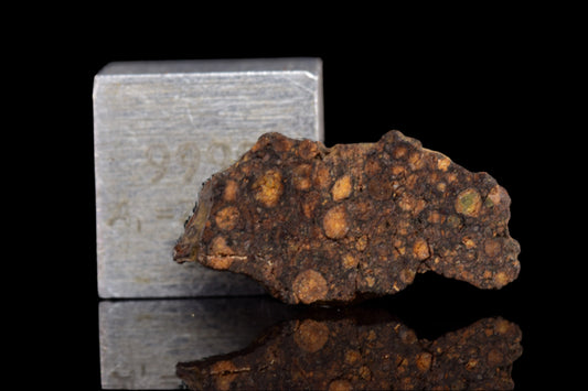 NWA 14870 CR2 Meteorite For Sale