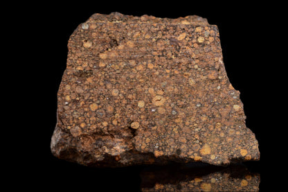 NWA 14870 CR2 Meteorite For Sale