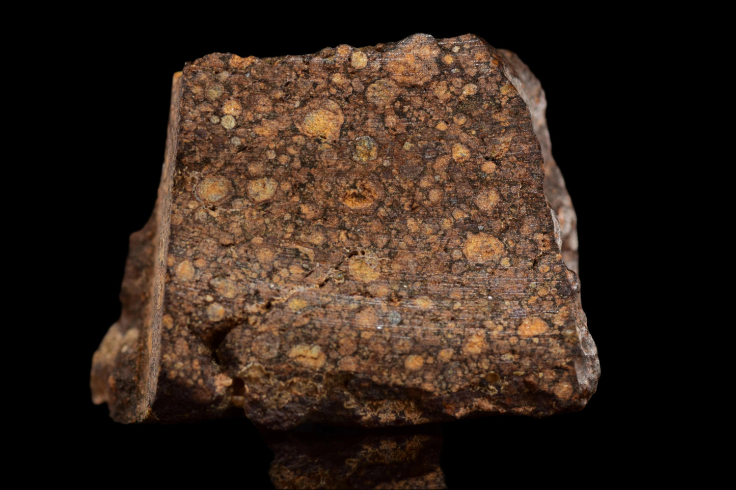 NWA 14870 CR2 Meteorite For Sale
