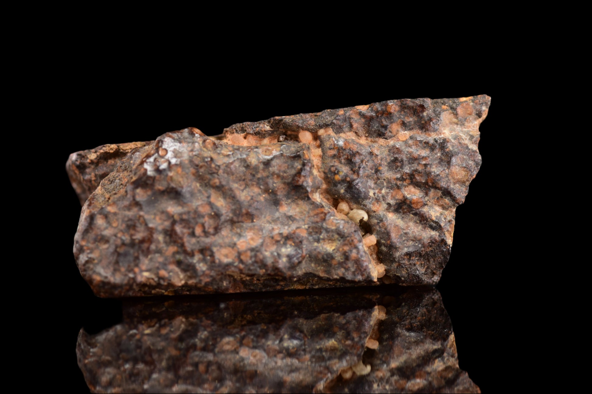 NWA 14870 CR2 Meteorite For Sale