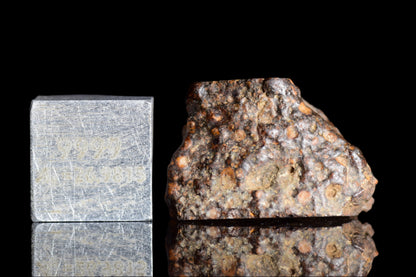 NWA 14870 CR2 Meteorite 2.6 G.