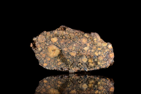 NWA 14870 CR2 Meteorite 2.6 G.