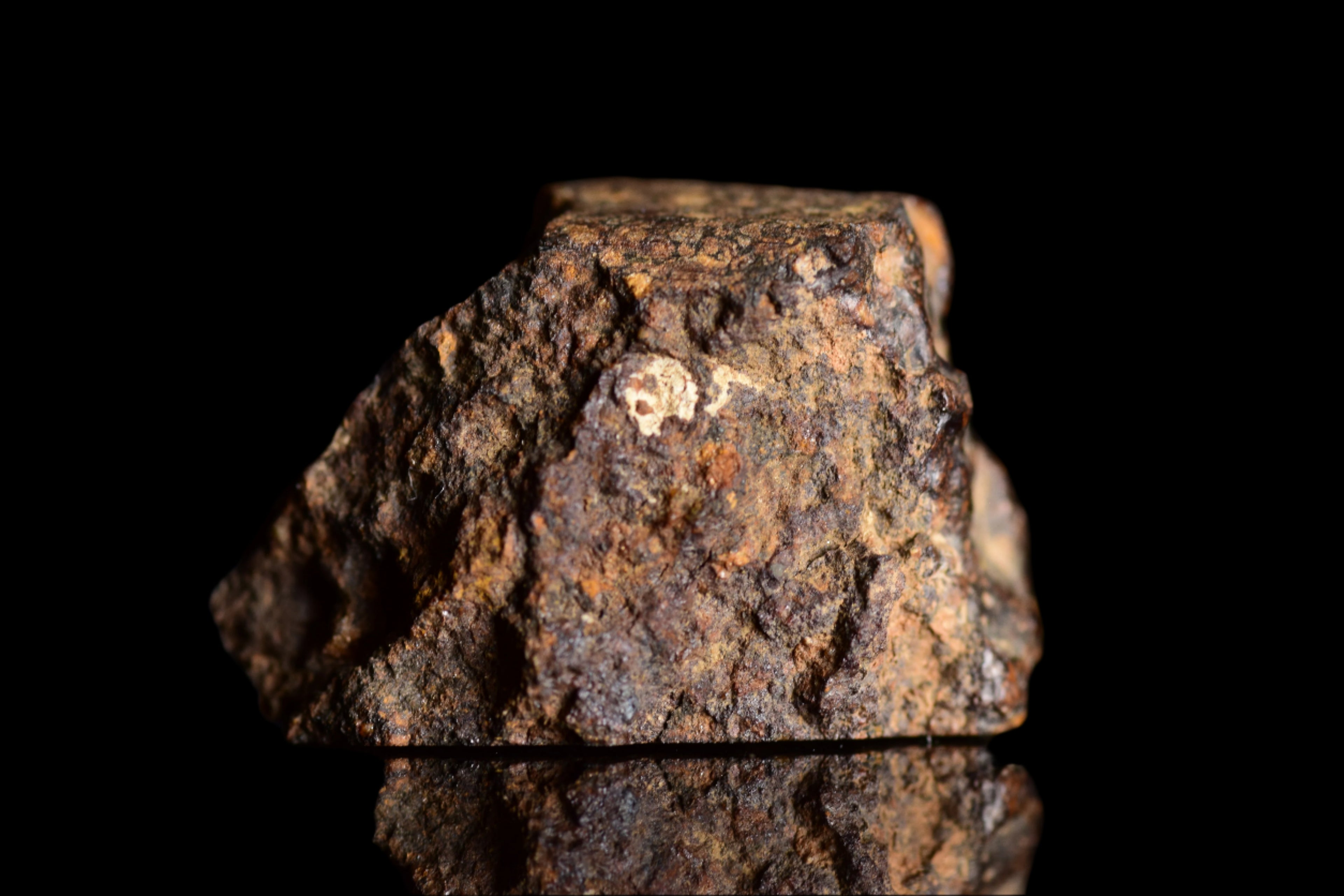NWA 14870 CR2 Meteorite For Sale