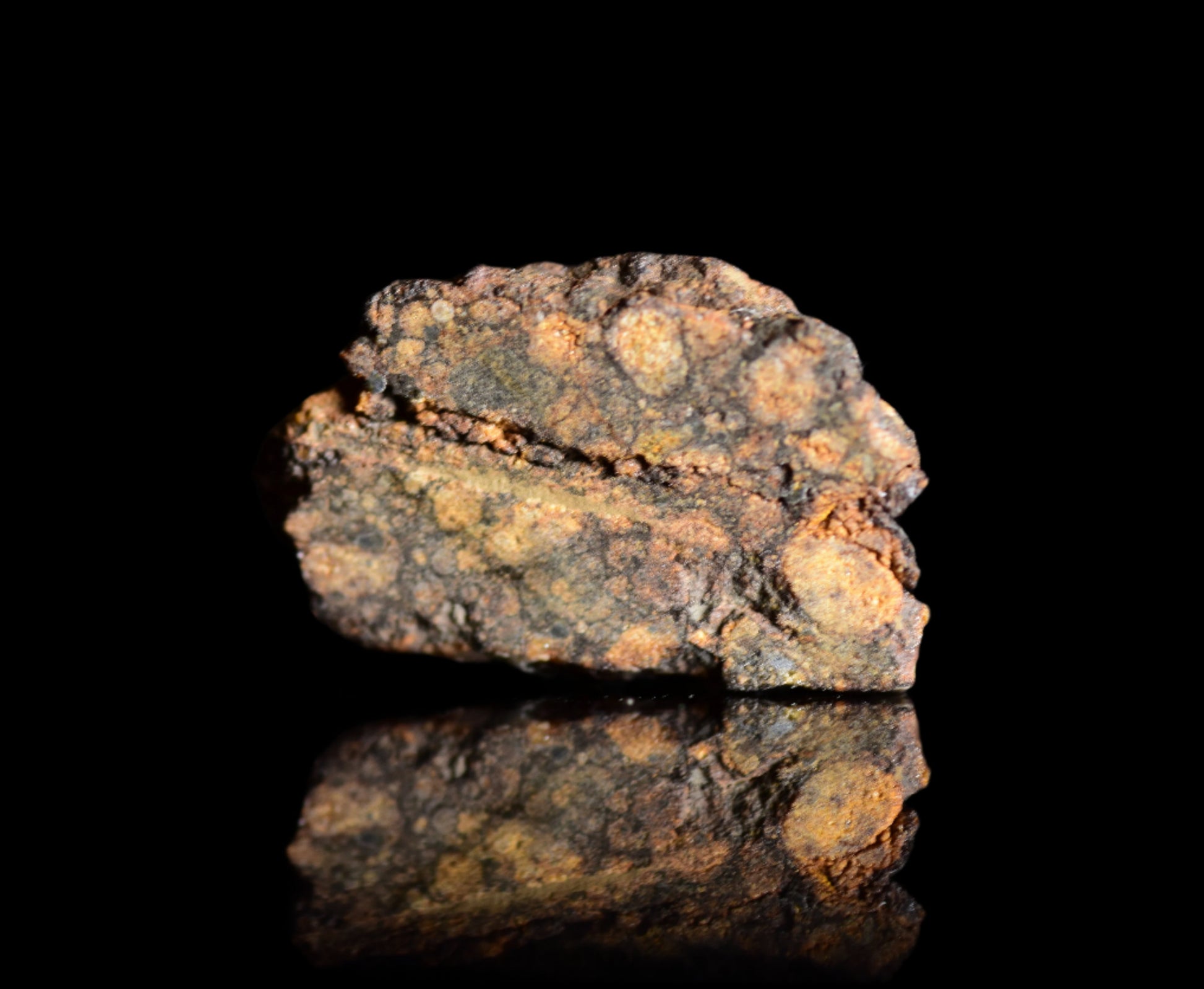 NWA 14870 CR2 Meteorite 0.5 G.