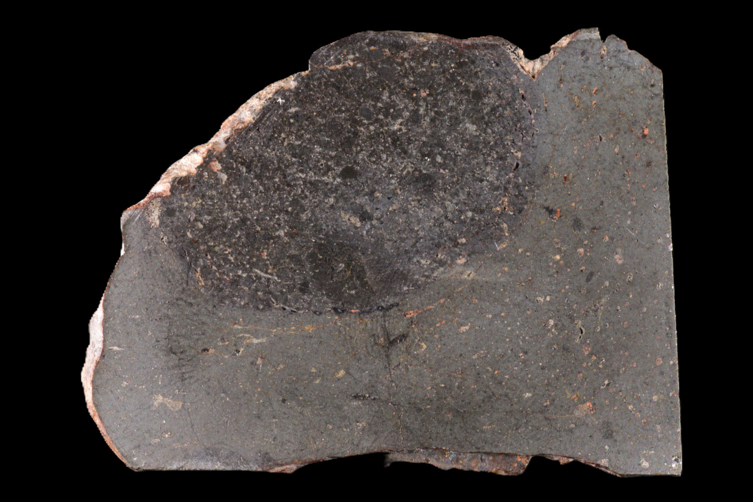 NWA 15404 L-melt rock 14.01 g