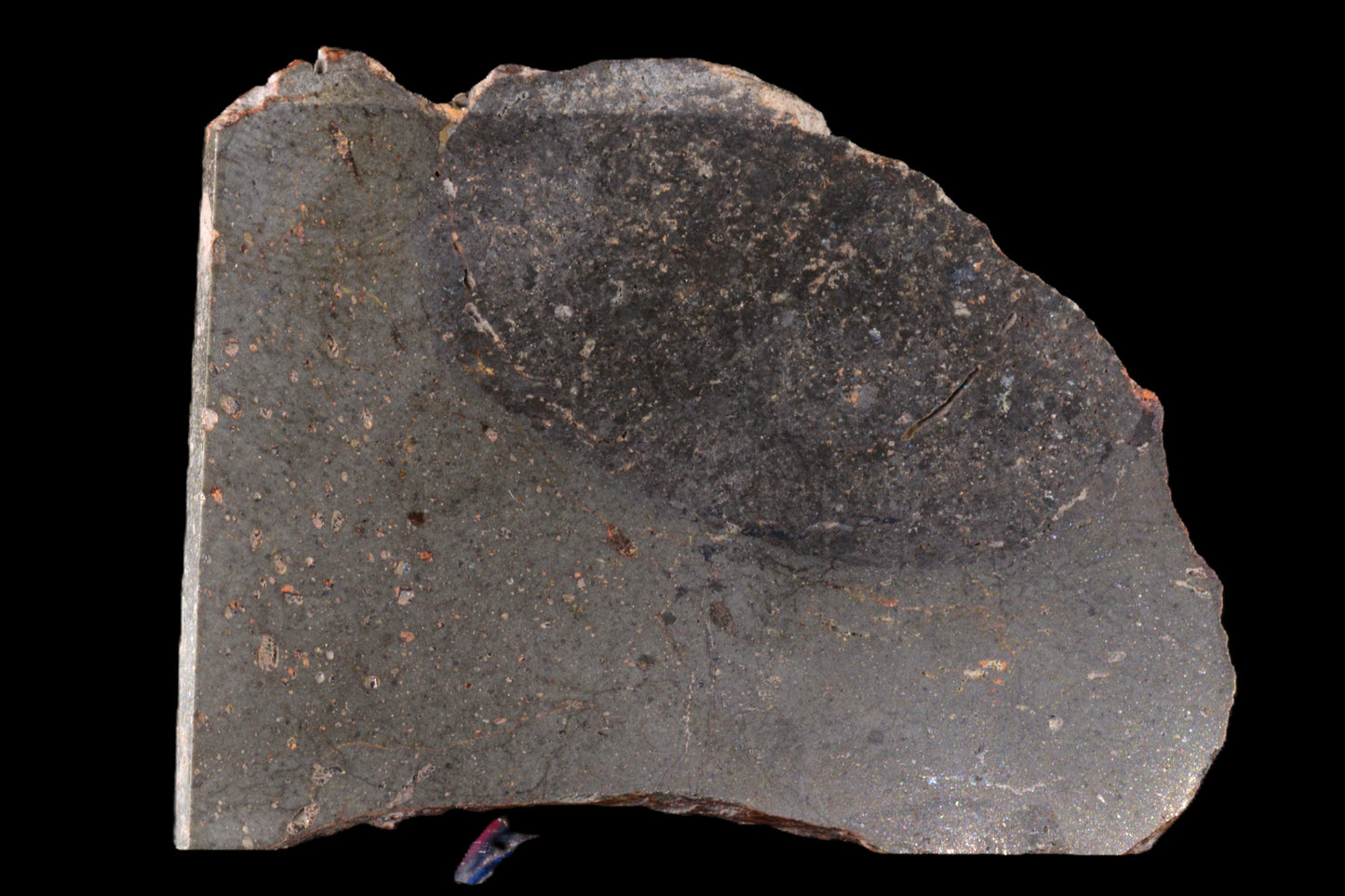 NWA 15404 L-melt rock 14.01 g