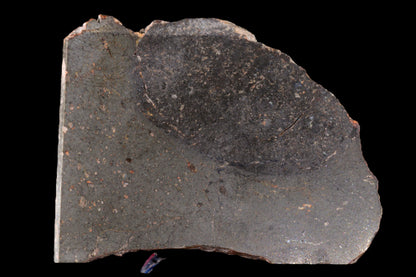 NWA 15404 L-melt rock 14.01 g