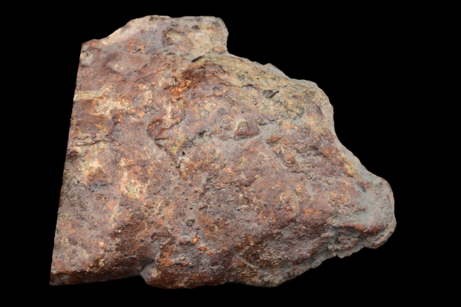 NWA 15404 L-melt rock 38.9 g