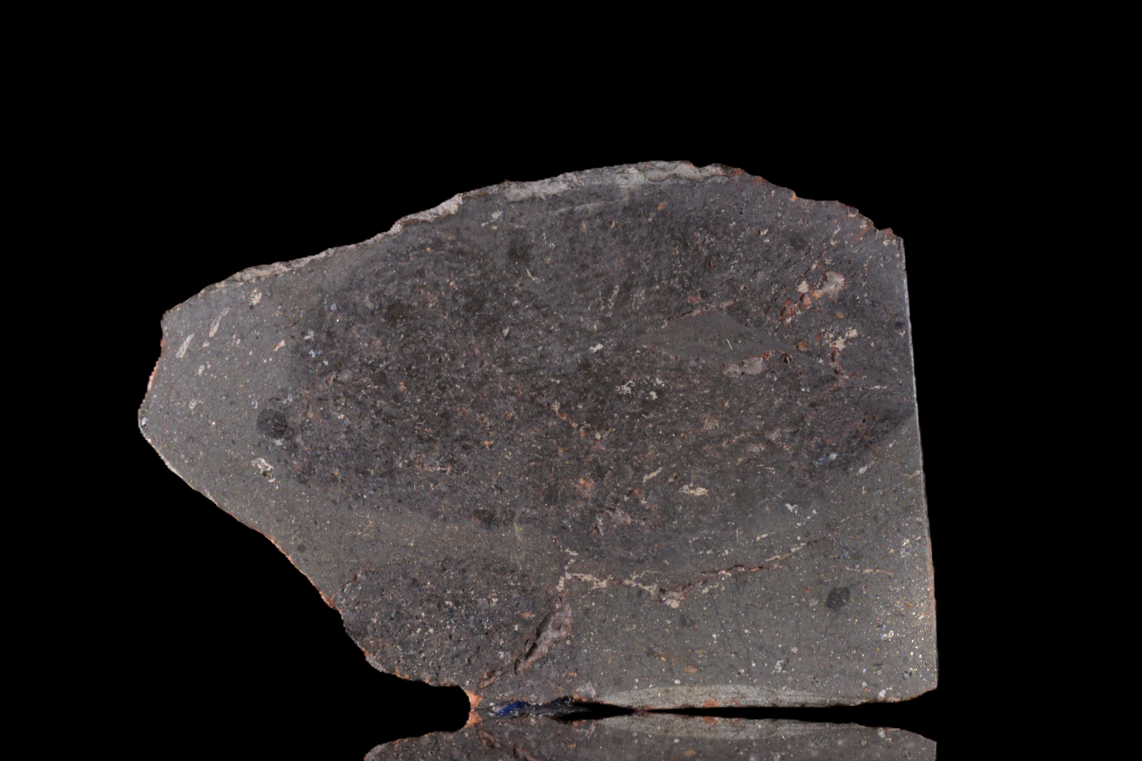 NWA 15404 L-melt rock 9.79 g