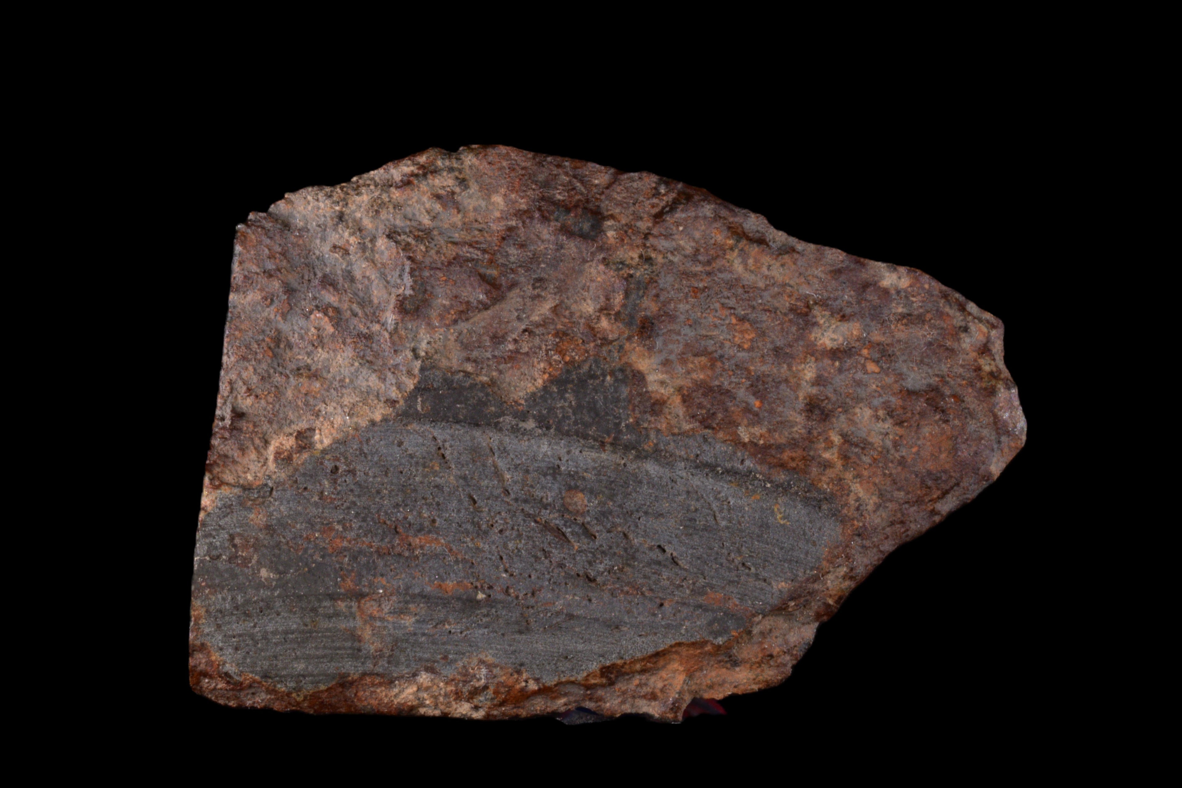 NWA 15404 L-melt rock 9.79 g