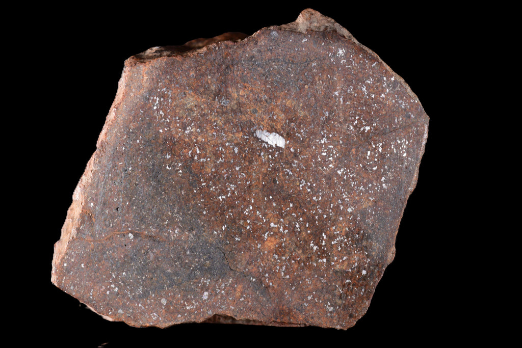 NWA 15414 Ordinary Chondrite Meteorite