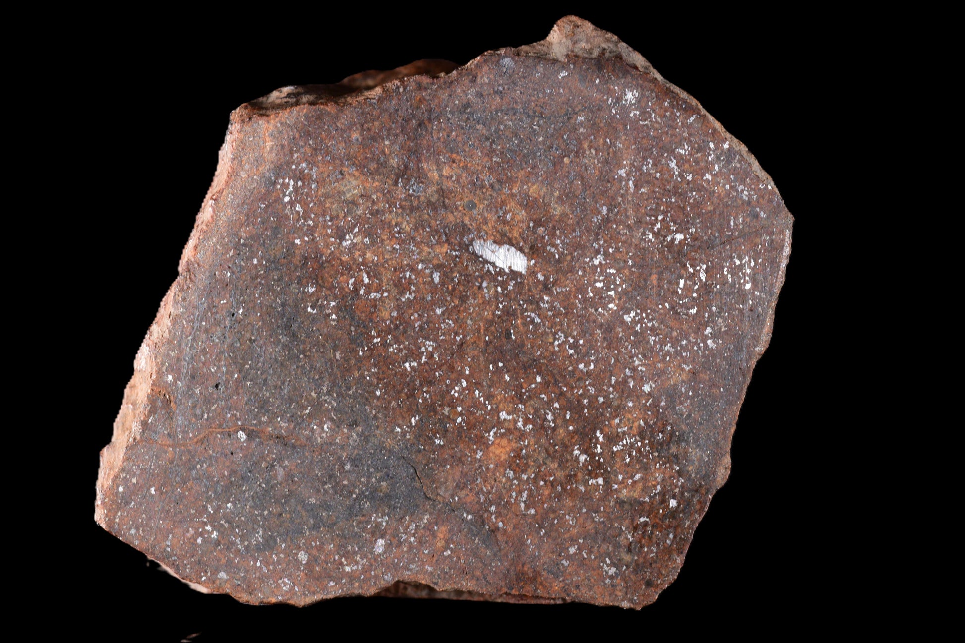 NWA 15414 Ordinary Chondrite Meteorite