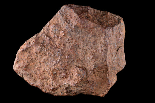 NWA 15414 Ordinary Chondrite Meteorite