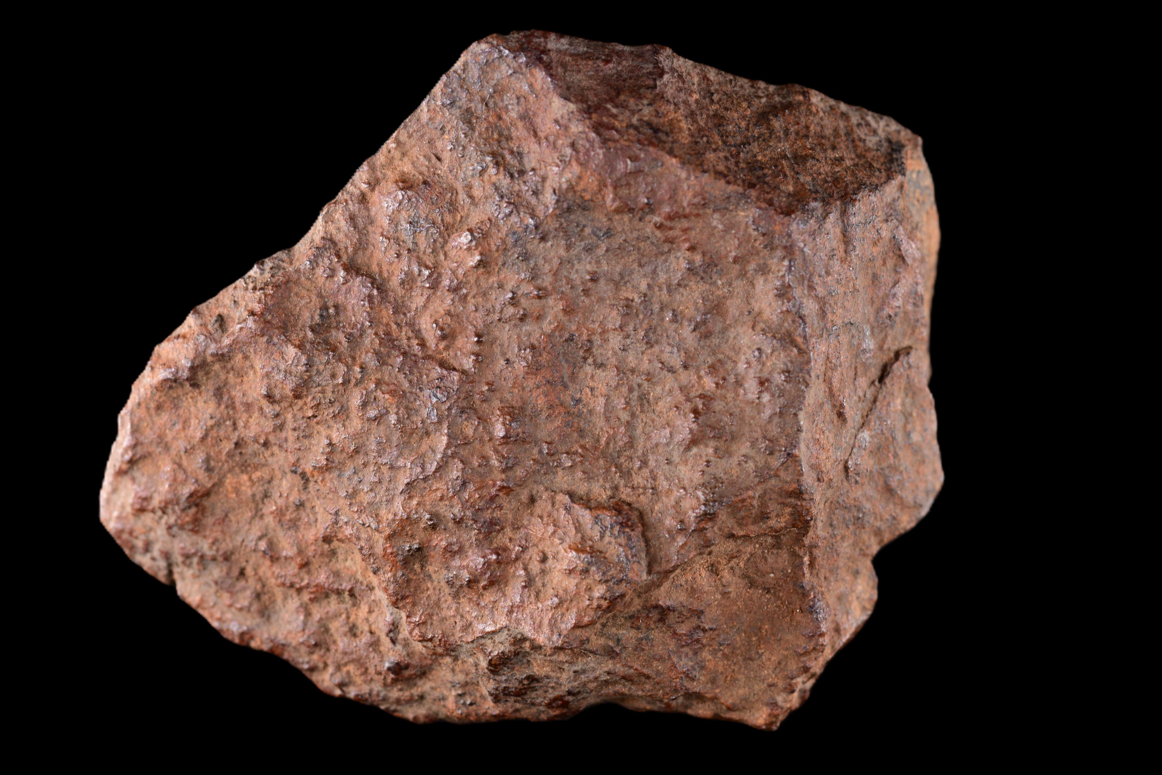 NWA 15414 Ordinary Chondrite Meteorite