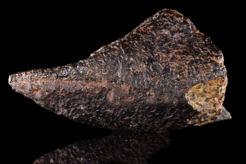 NWA 15417 – Eucrite Achondrite Meteorite Endcut