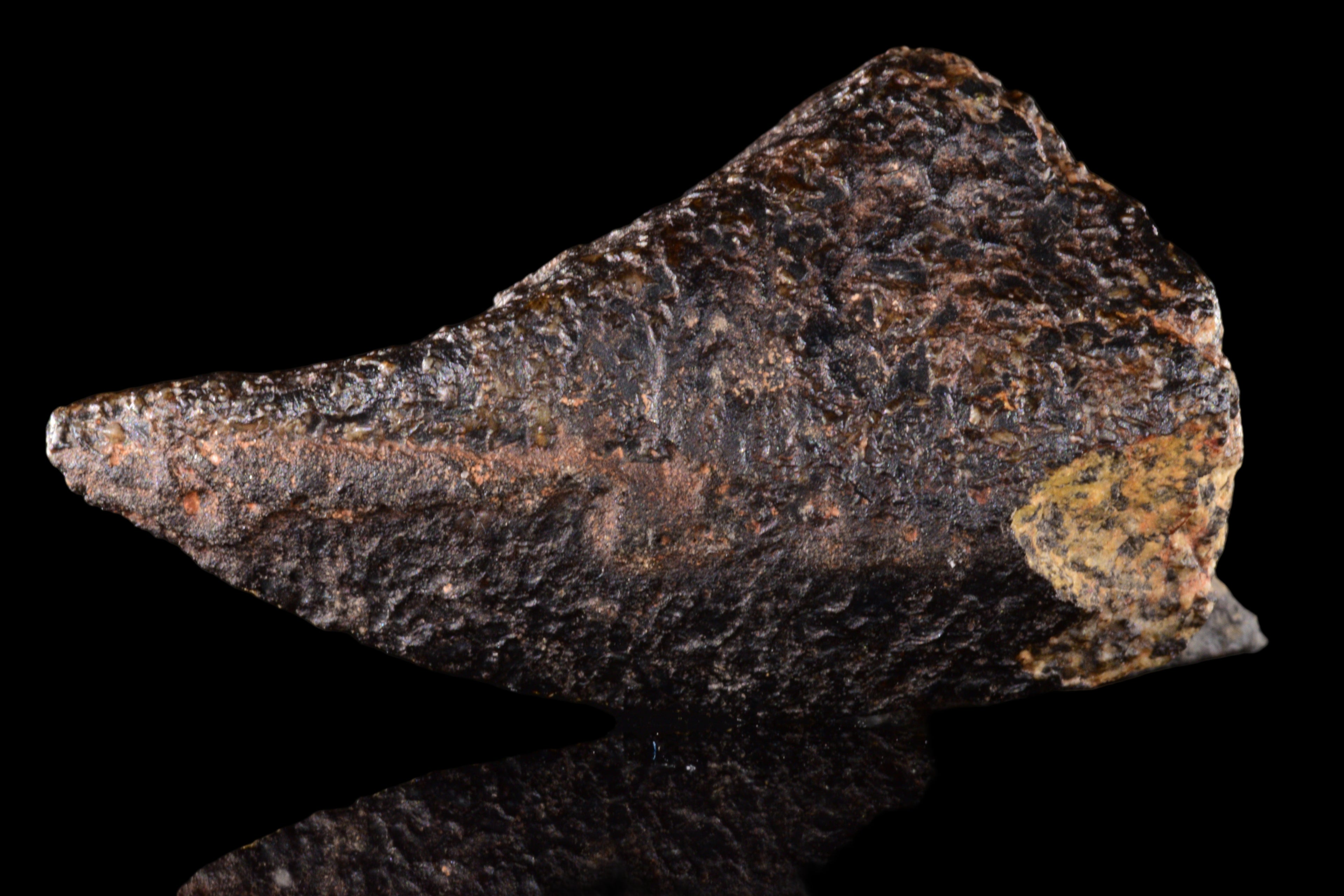 NWA 15417 – Eucrite Achondrite Meteorite Endcut