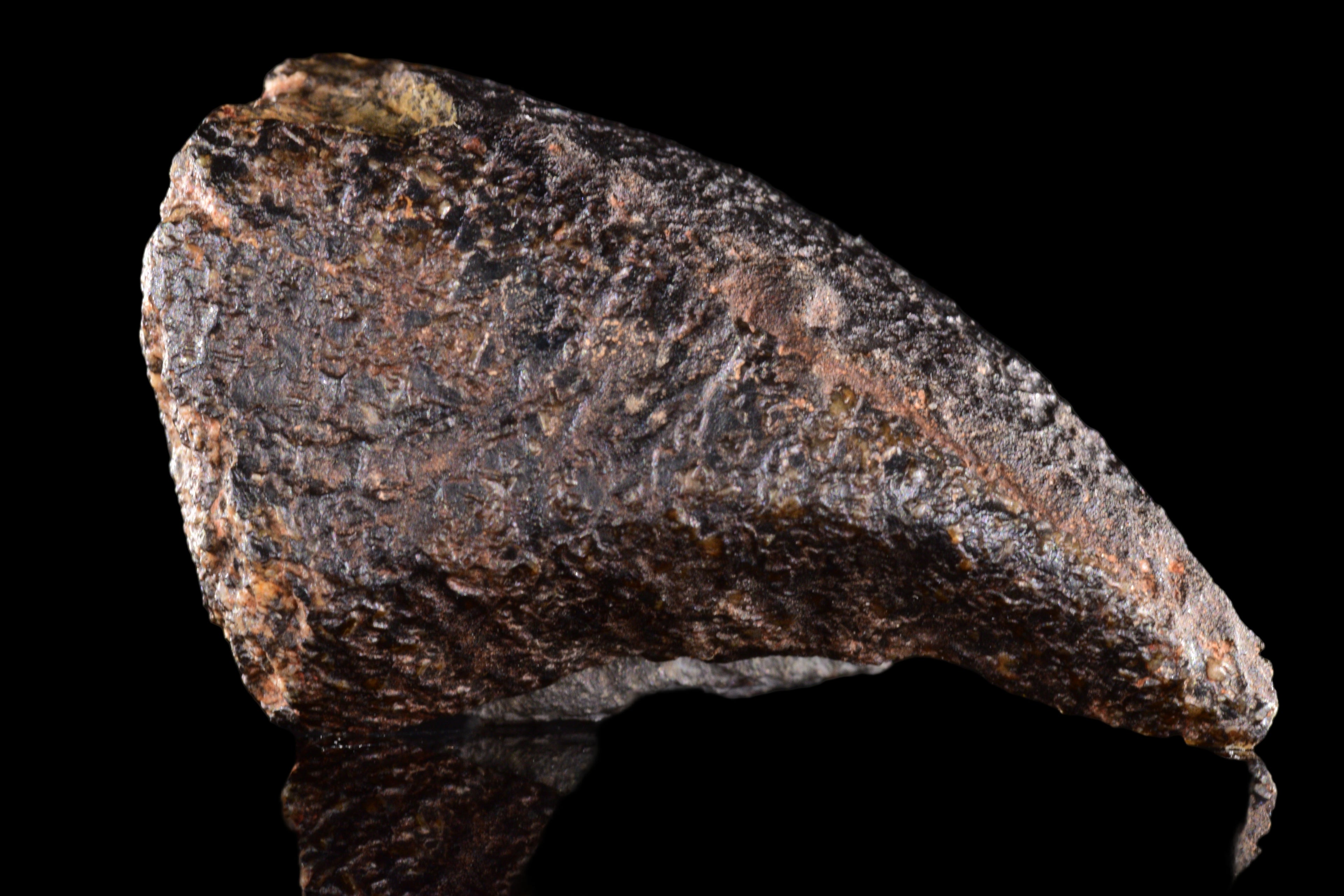 NWA 15417 – Eucrite Achondrite Meteorite Endcut