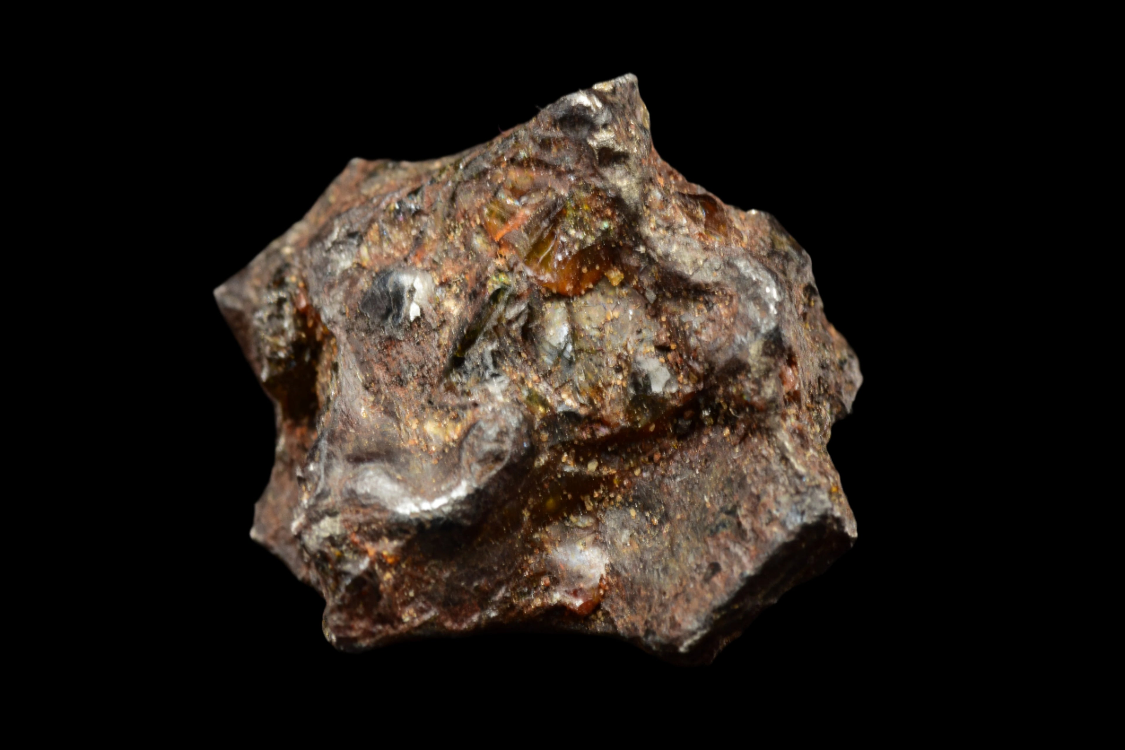NWA 15971  Pallasite Meteorite